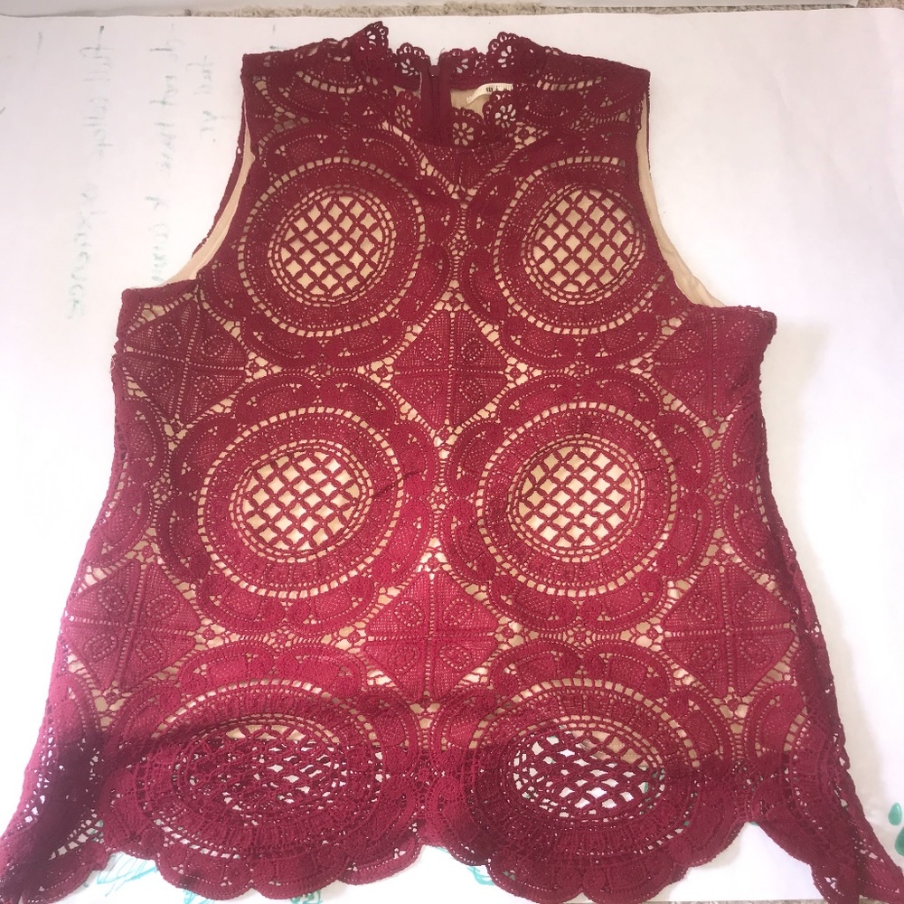 Francesca's lace Top